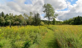 Walking Path - Country homes for sale and luxury real estate including horse farms and property in the Caledon and King City areas near Toronto