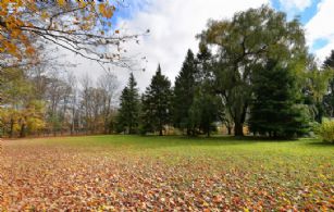 Riding Trails - Country homes for sale and luxury real estate including horse farms and property in the Caledon and King City areas near Toronto