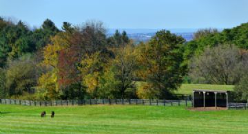 View - Country homes for sale and luxury real estate including horse farms and property in the Caledon and King City areas near Toronto