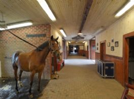 Stables Interior - Country homes for sale and luxury real estate including horse farms and property in the Caledon and King City areas near Toronto