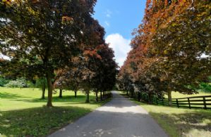 Stable Driveway - Country homes for sale and luxury real estate including horse farms and property in the Caledon and King City areas near Toronto
