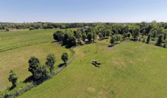 Paddocks - Country homes for sale and luxury real estate including horse farms and property in the Caledon and King City areas near Toronto