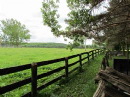 Neighbouring Farm - Country homes for sale and luxury real estate including horse farms and property in the Caledon and King City areas near Toronto