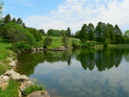 Pond - Country homes for sale and luxury real estate including horse farms and property in the Caledon and King City areas near Toronto