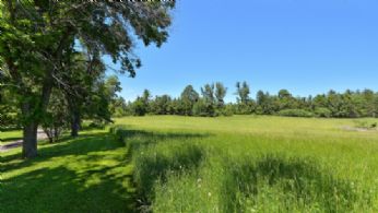 Front Field - Country homes for sale and luxury real estate including horse farms and property in the Caledon and King City areas near Toronto
