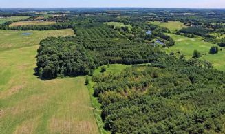 48.5 Acres, Schomberg, King  - Country homes for sale and luxury real estate including horse farms and property in the Caledon and King City areas near Toronto