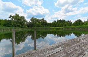Swimming Pond - Country homes for sale and luxury real estate including horse farms and property in the Caledon and King City areas near Toronto