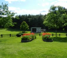 Spring Flowers - Country homes for sale and luxury real estate including horse farms and property in the Caledon and King City areas near Toronto