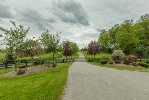 Schomberg Equestrian Estate - Country Homes for sale and Luxury Real Estate in Caledon and King City including Horse Farms and Property for sale near Toronto