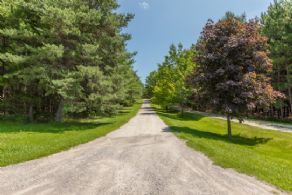 Long Private Driveway - Country homes for sale and luxury real estate including horse farms and property in the Caledon and King City areas near Toronto