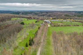 Long Tree-lined Driveway - Country homes for sale and luxury real estate including horse farms and property in the Caledon and King City areas near Toronto