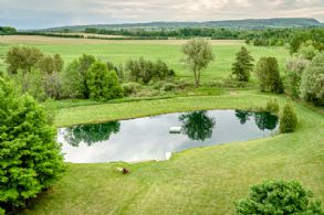 Swimming Pond - Country homes for sale and luxury real estate including horse farms and property in the Caledon and King City areas near Toronto