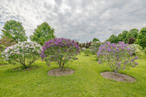 Lilac Grove - Country homes for sale and luxury real estate including horse farms and property in the Caledon and King City areas near Toronto