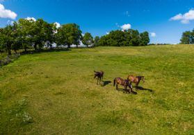 Expansive Paddock Lands - Country homes for sale and luxury real estate including horse farms and property in the Caledon and King City areas near Toronto