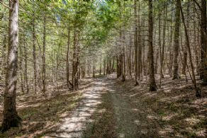 Hiking Trails - Country homes for sale and luxury real estate including horse farms and property in the Caledon and King City areas near Toronto