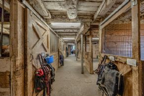 Equestrian Facility for Lease, Richmond Hill, Ontario - Country homes for sale and luxury real estate including horse farms and property in the Caledon and King City areas near Toronto