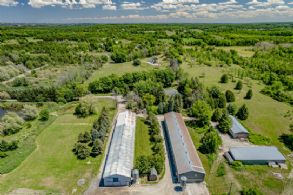 Poultry Barns - 2 x 18,000 sq ft - Country homes for sale and luxury real estate including horse farms and property in the Caledon and King City areas near Toronto