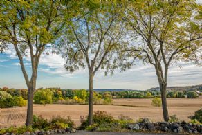 The Scotch Estate, Halton, Ontario - Country homes for sale and luxury real estate including horse farms and property in the Caledon and King City areas near Toronto