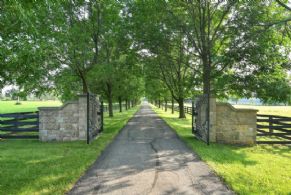 1/4 Mile Long Driveway Lined with Sugar Maples - Country homes for sale and luxury real estate including horse farms and property in the Caledon and King City areas near Toronto