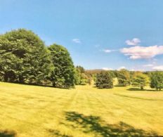 Magnificent trees and grounds - Country homes for sale and luxury real estate including horse farms and property in the Caledon and King City areas near Toronto