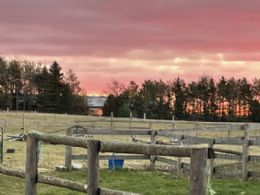 Sunset Over the Farm - Country homes for sale and luxury real estate including horse farms and property in the Caledon and King City areas near Toronto