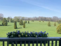 Views from the sunset porch - Country homes for sale and luxury real estate including horse farms and property in the Caledon and King City areas near Toronto