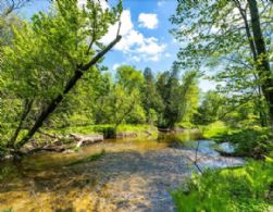 Nottawasaga River flows through - Country homes for sale and luxury real estate including horse farms and property in the Caledon and King City areas near Toronto