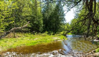 Nottawasaga River - Country homes for sale and luxury real estate including horse farms and property in the Caledon and King City areas near Toronto