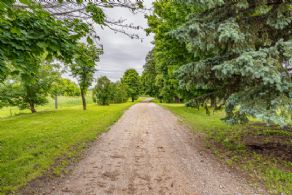 Tree-lined drive - Country homes for sale and luxury real estate including horse farms and property in the Caledon and King City areas near Toronto