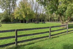 Paddocks in the Summer - Country homes for sale and luxury real estate including horse farms and property in the Caledon and King City areas near Toronto