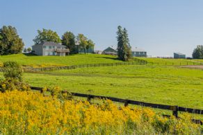 Fields - Country homes for sale and luxury real estate including horse farms and property in the Caledon and King City areas near Toronto