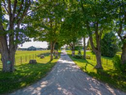 Glengate Farm, Hillsburgh, Ontario - Country homes for sale and luxury real estate including horse farms and property in the Caledon and King City areas near Toronto