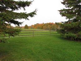 Renovated Country, King - Country Homes for sale and Luxury Real Estate in Caledon and King City including Horse Farms and Property for sale near Toronto