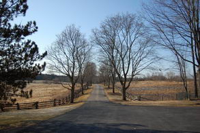 Driveway - Country homes for sale and luxury real estate including horse farms and property in the Caledon and King City areas near Toronto