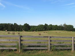 Multiple Hay Fields - Country homes for sale and luxury real estate including horse farms and property in the Caledon and King City areas near Toronto