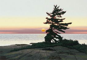 Windswept - Canadian artist, Ken Danby, has painted Head Island several times. 